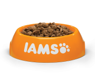 IAMS for Vitality Saumon, Adulte, 1.5